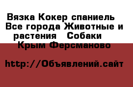 Вязка Кокер спаниель - Все города Животные и растения » Собаки   . Крым,Ферсманово